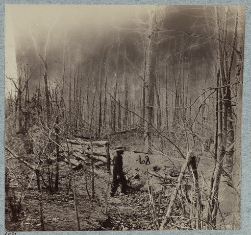 Confederate entrenchments on Orange Plank Road