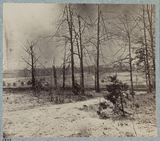 Views on the battlefield of morning of May 12th, 1864. Scene of capture of Johnson's Division, C.S.A.
