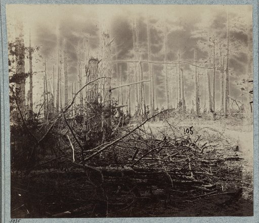 Confederate entrenchments near junction of old and new Court House Roads