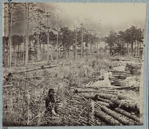 Confederate entrenchments near junction of old and new Court House Roads