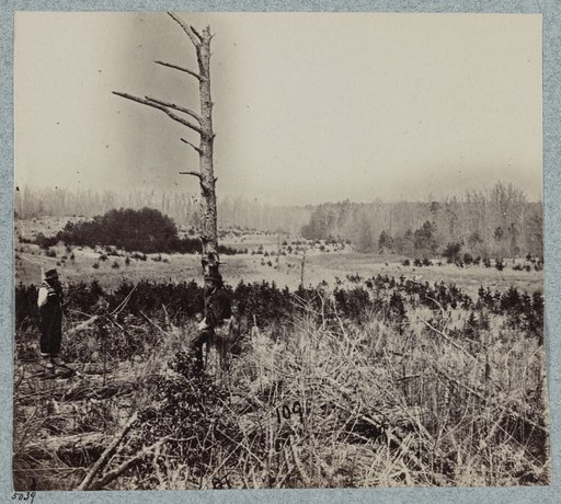 Scene of unsuccessful charges against Confederate entrenchments at junction of old and new Court House Roads