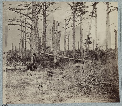 Scene of unsuccessful charges against Confederate entrenchments at junction of old and new Court House Roads