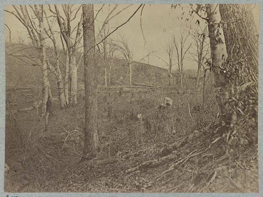 View on Bull Run. March, August 1862