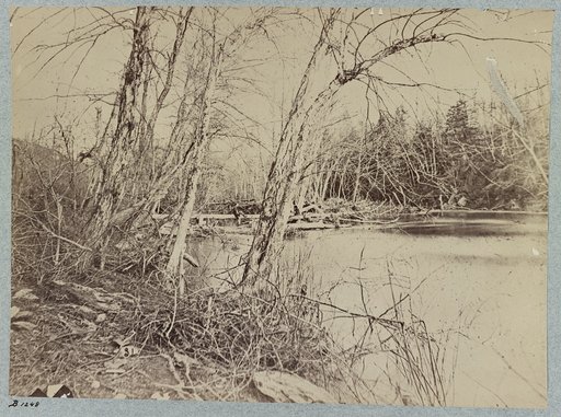 View on Bull Run, May, 1863