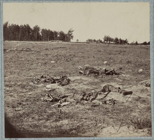 Battlefield of Gaines' Mill, Va.