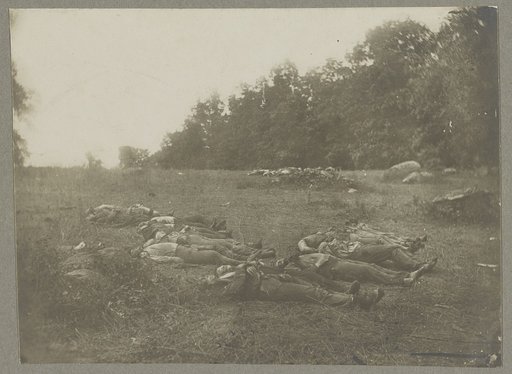 Dead in "the wheat field", Gettysburg