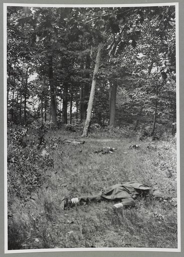 Confederate dead on Matthews Hill, Bull Run (i.e. Antietam)