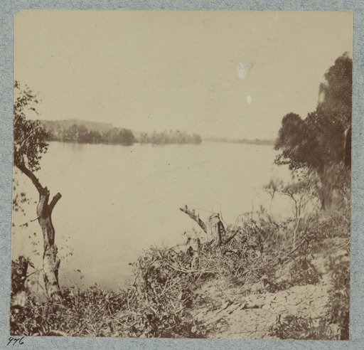 View on Savannah River