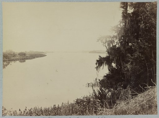 View on the Savannah River