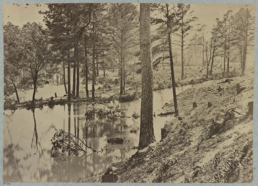 Swamp on Appomattox River, Va., near Broadway Landing