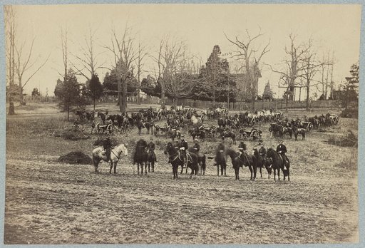 Union artillery unit posed with cannons and horses