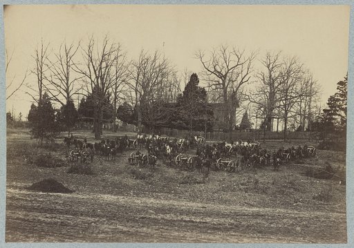 Union artillery unit with horses and cannons