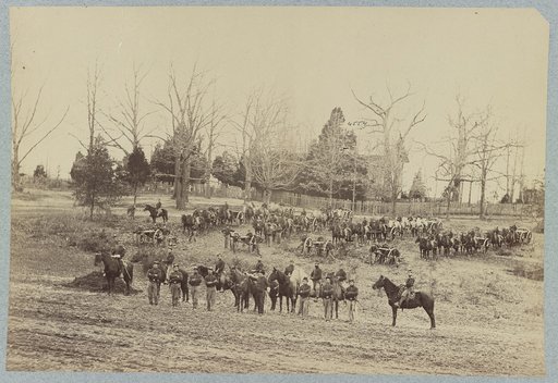Union artillery unit posing with horses and cannons