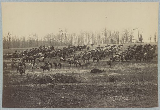 Horse artillery on parade grounds