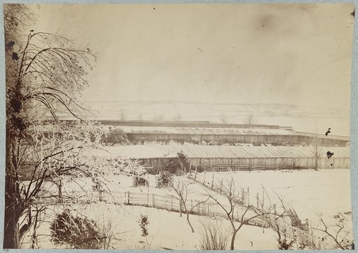 Quartermaster's corrall (i.e. corral), near Alexandria, Va.