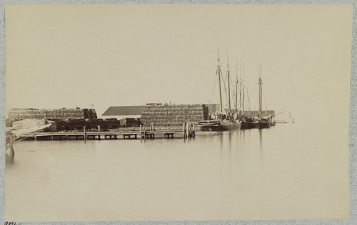 Wharves at Bermuda Hundred Landing, Va.