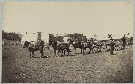 The "crack team" of the 6th Army Corps near Hazel River, Va., March, 1864