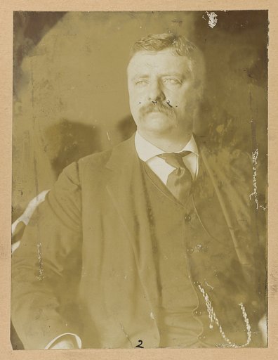 Theodore Roosevelt, half-length portrait, seated, looking left