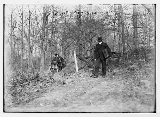 Policeman, police dog, waiting for thief, New York City