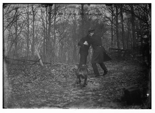 Policeman, police dog, arresting tramp, New York City