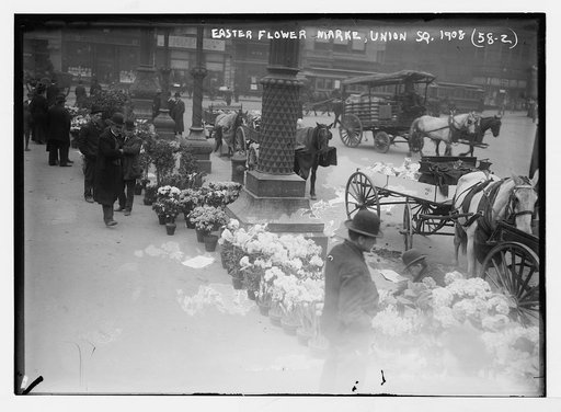 Easter flowers marke [i.e. market], Union Sq., [New York
