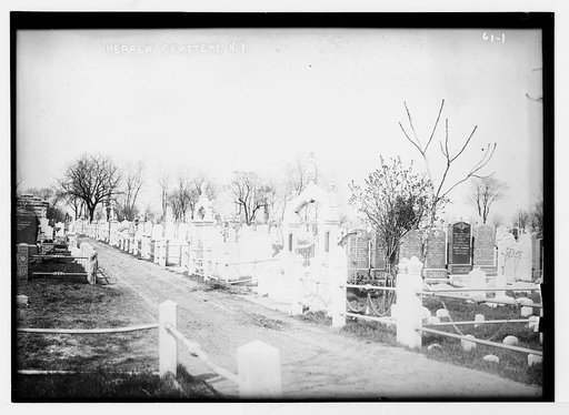 Hebrew Cemetery, N. Y. 