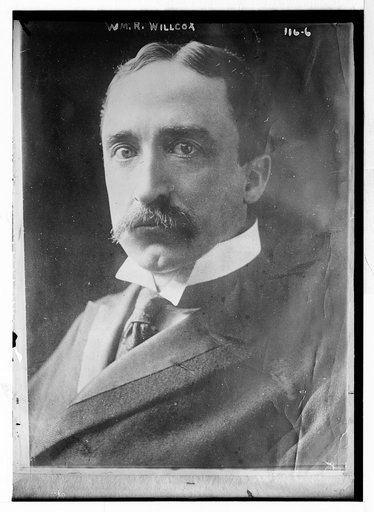 Wm. R. Wilcox, portrait bust