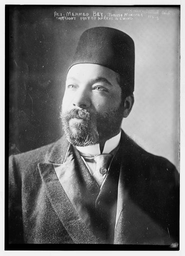 Ali Mehmed Bey, Turkish Minister, copyright by Harris & Ewing