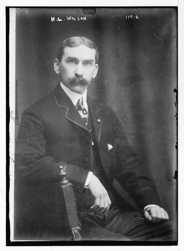 H.L. Wilson [i.e. Henry Lane Wilson], portrait bust