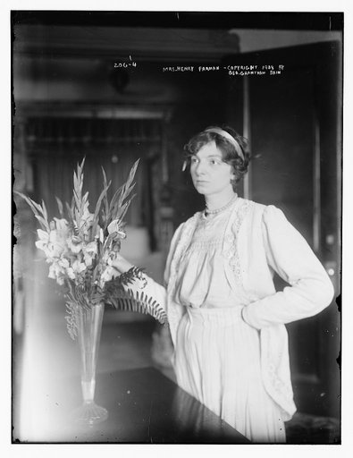 Mrs. Henry Farman