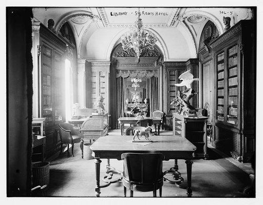 St. Regis Hotel: Library