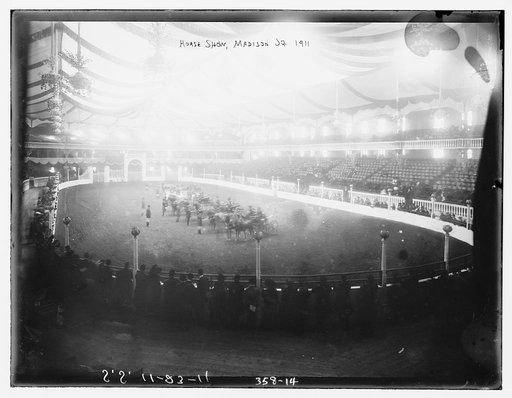 Horse Show, Madison Sq.