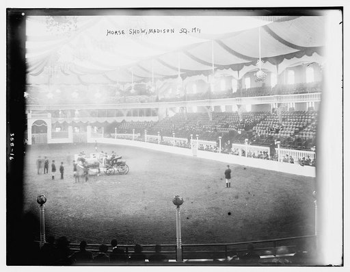 Horse Show, Madison Sq.