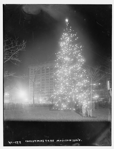 Xmas Tree, Madison Sq.