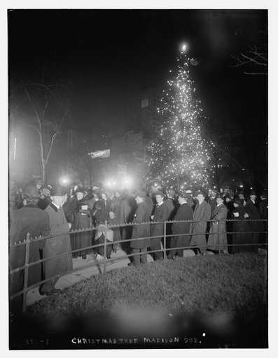 Madison Sq. Xmas Tree