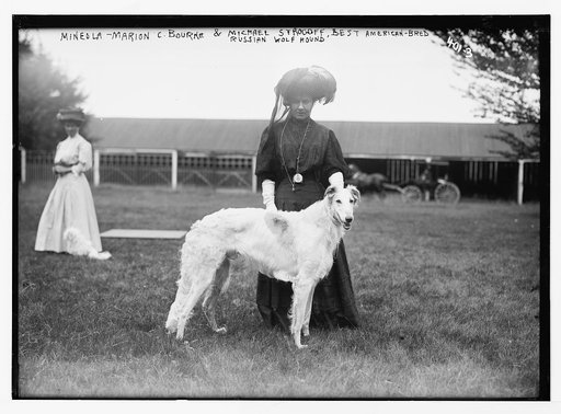 Mineola [Dog Show], Marion C. Bourne with "Michael Strogoff" - best American-bred Russian Wolf Hound