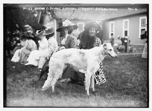 Marion C. Bourne & "Michael Strogoff" - Russ. [i.e. Russian] Wolf Hound [Mineola Dog Show