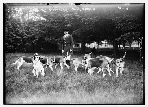 Middlesex pack, Mineola
