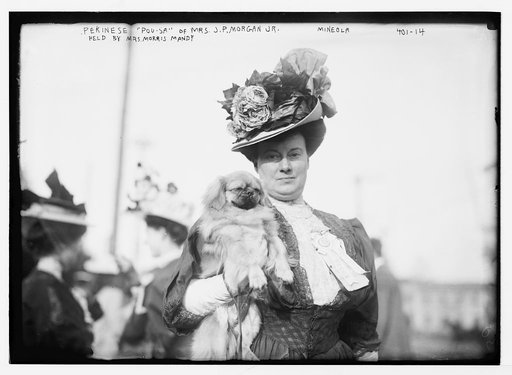 Pekinese "Pou-sa" of Mrs. J.P. Morgan Jr., held by Mrs. Morris Mandy, Mineola