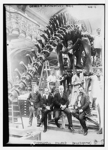 Coggeshall, Holland, Boule (director), Carnegie Diplodocus, Paris