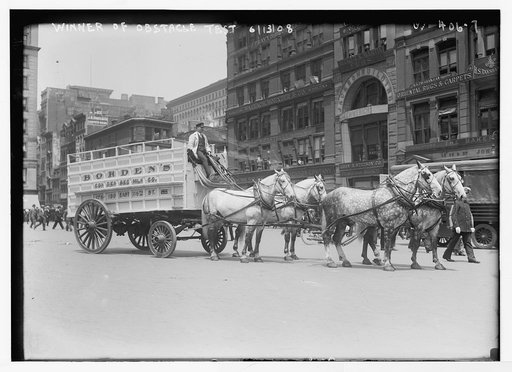 Work Horse Parade, Borden team], winner of obstacle test, [New York