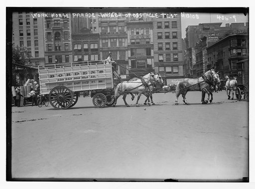 Work Horse Parade, [Borden Team], winner of obstacle test, [New York