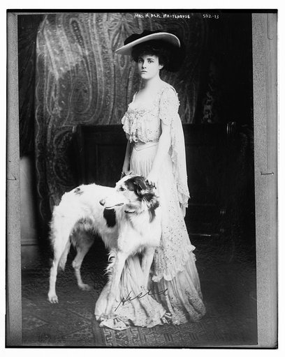 Mrs. N. Der Whitehouse