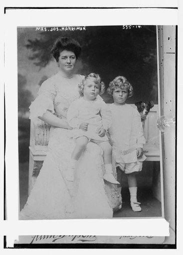 Mrs. Jos. Harriman