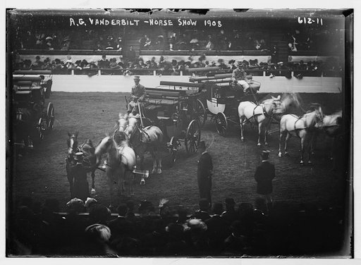 A.G. Vanderbilt - Horseshow