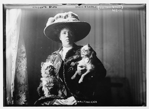 Kingcote Bijou, Kingcote Diabolo [dogs],(Mrs. Thos. W. King)