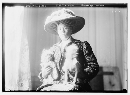 Kingscote Bijou, Mrs. Thos. W. King, Kingcotes Diabolo [dogs