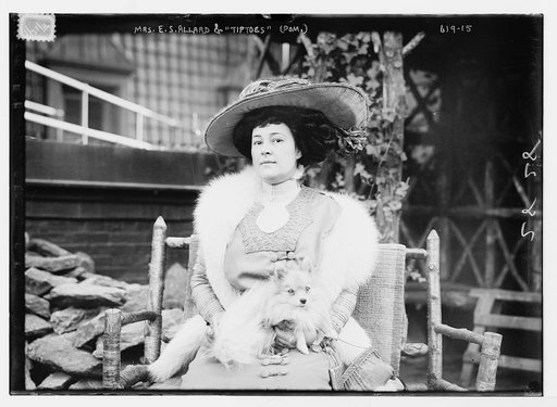 Mrs. E.S. Allard and "Tiptoes" (Pom.)  [Pomeranian dog