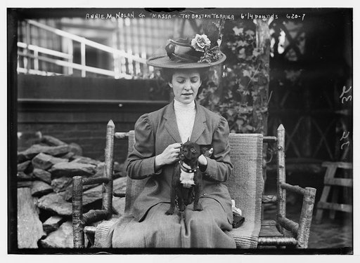 Annie M. Nolan & "Massa", toy Boston Terrier, 6 1/4 pounds