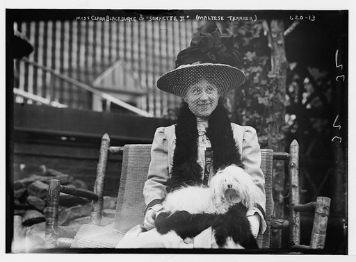 Miss Clara Blackburne and "Sonnette II" (Maltese Terrier)